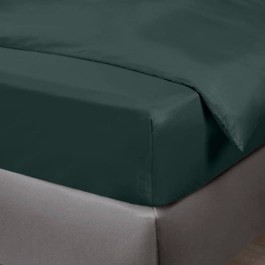 Grönt bambu-draglakan